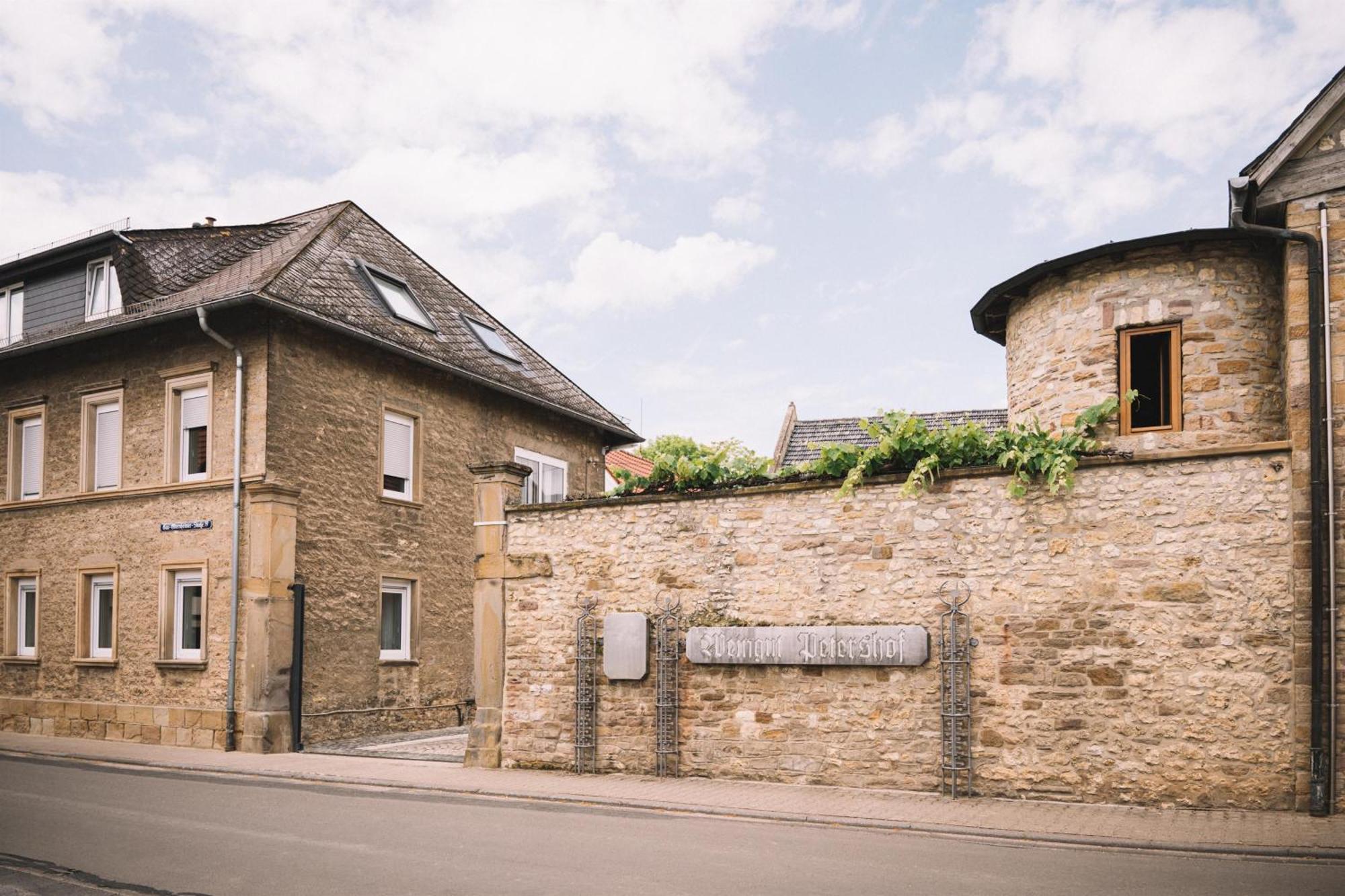 Weingut Petershof Apartment Alzey Exterior foto