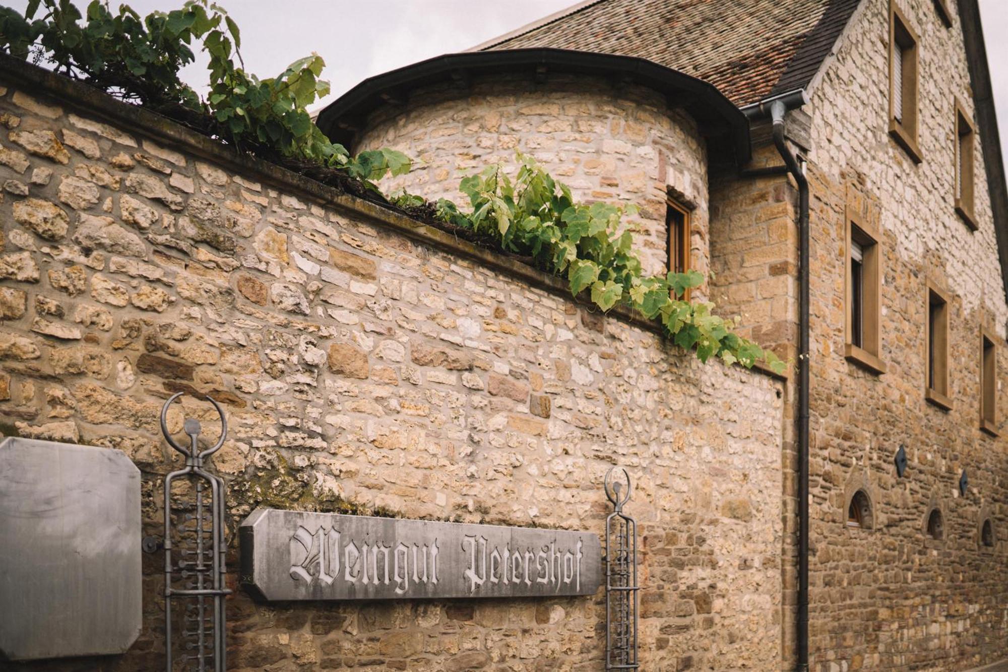 Weingut Petershof Apartment Alzey Exterior foto